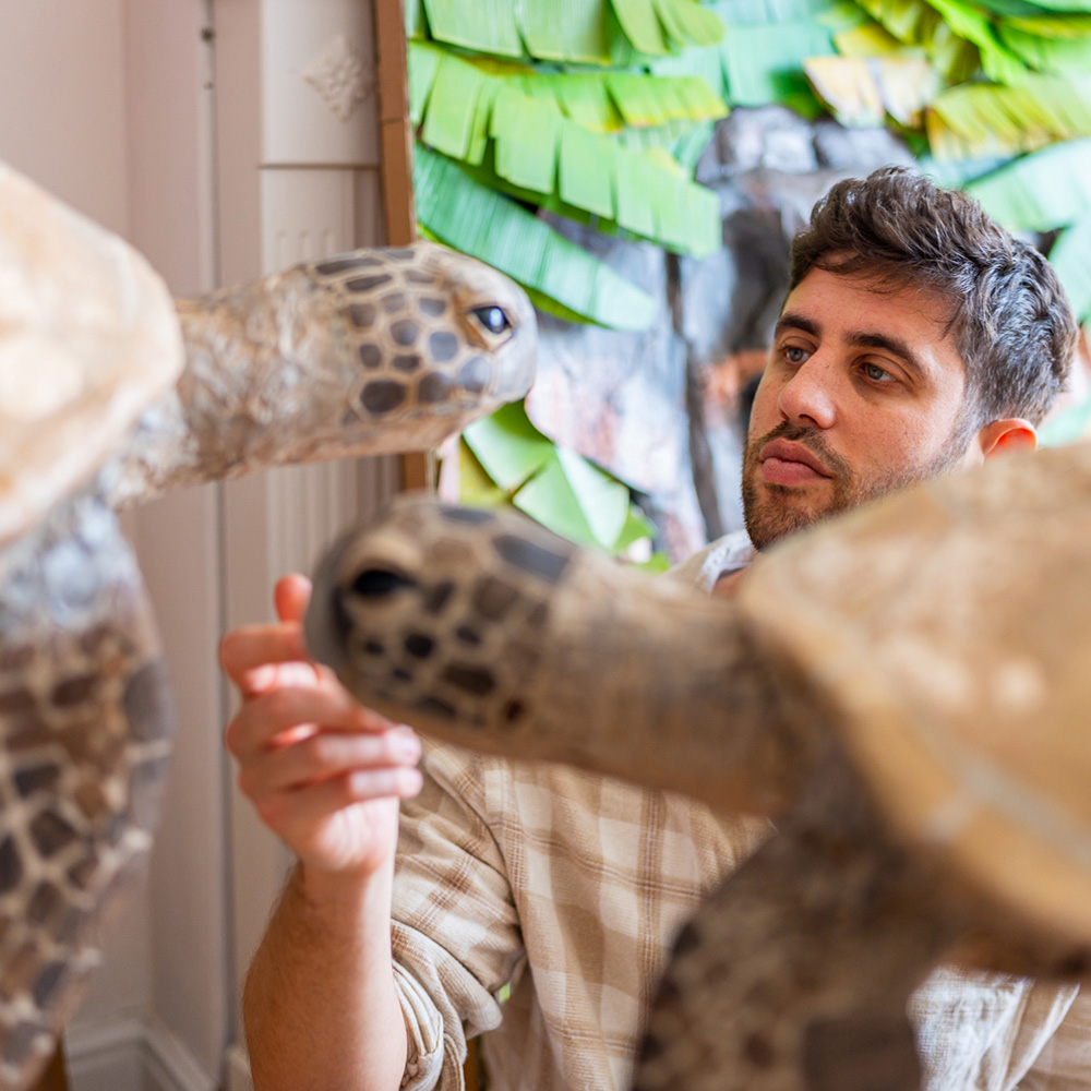 A rich diversity of interpretations