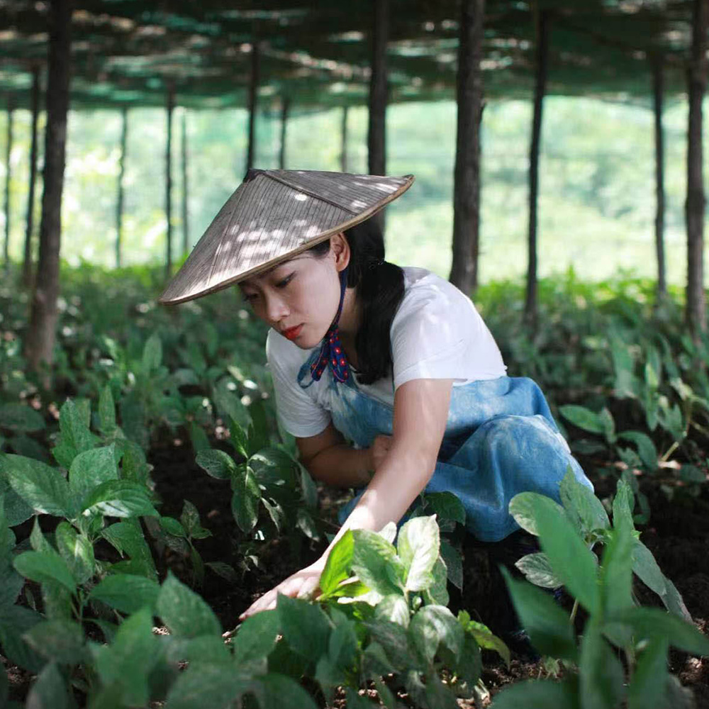 A rich diversity of interpretations